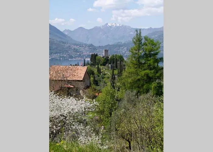 Cosy Place ペルレード